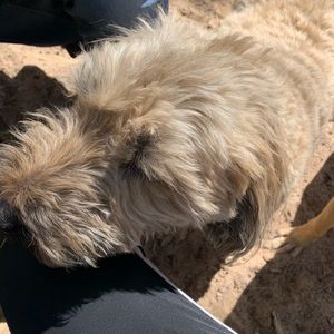 Meet your Posher, Kim